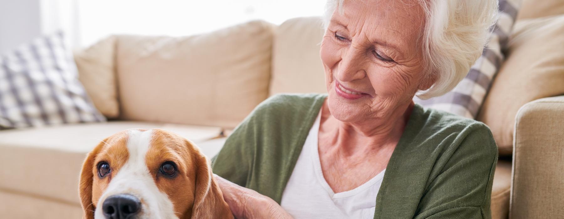a person sitting with a dog