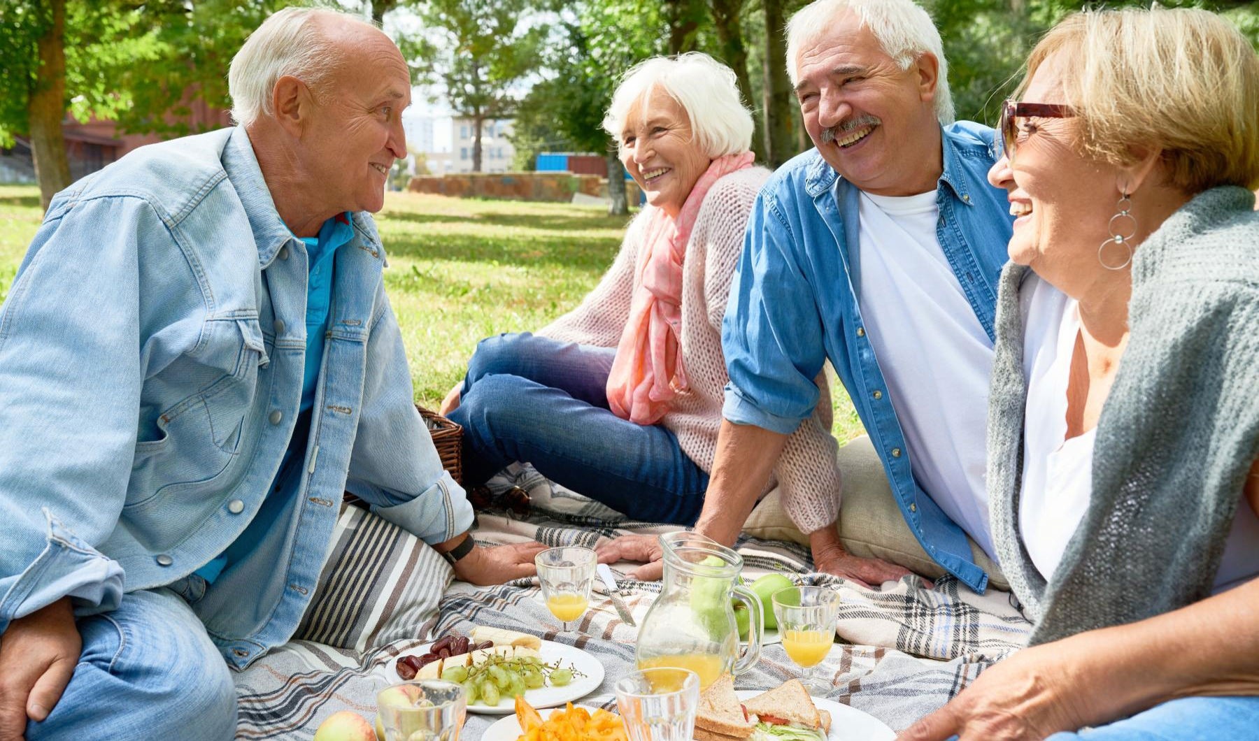 group of people having a picnic