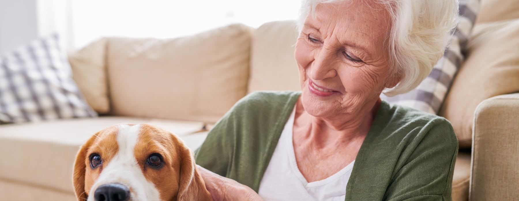 a person with a dog
