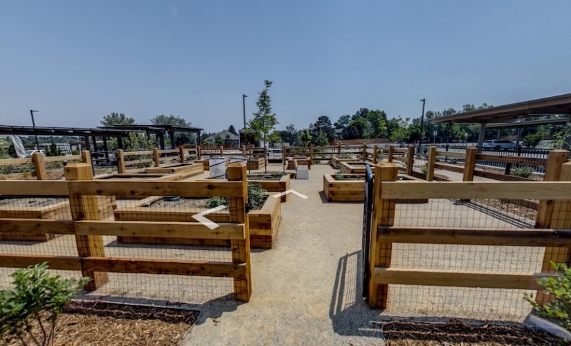 Community Garden